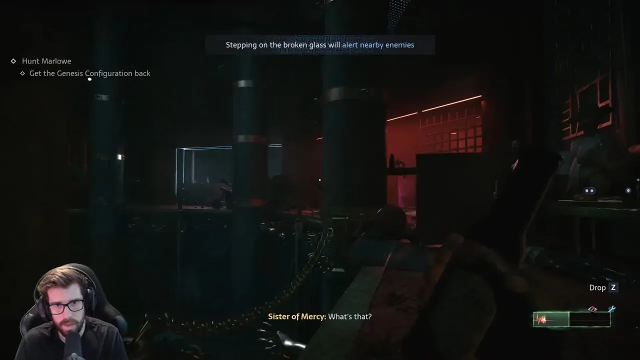 Sister of Mercy